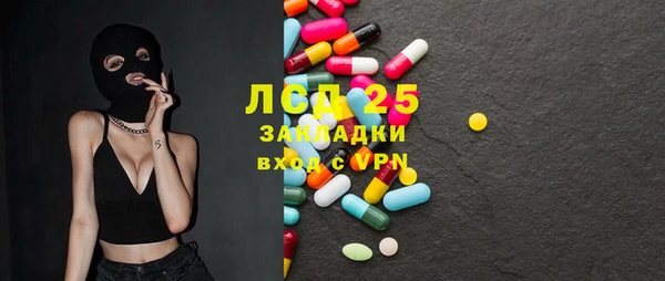 индика Армянск