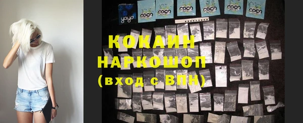 apvp Богородицк