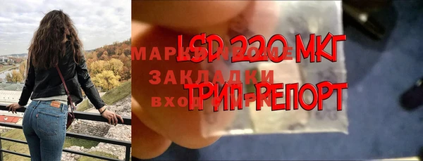 apvp Богородицк