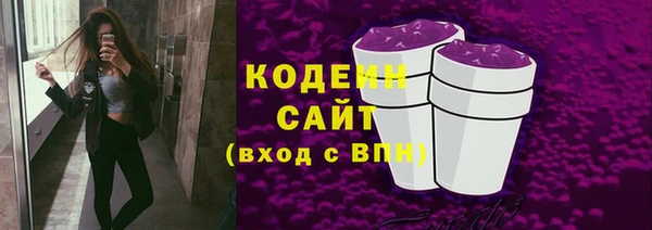 apvp Богородицк