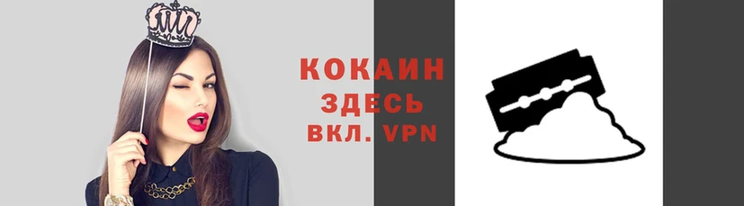 apvp Богородицк