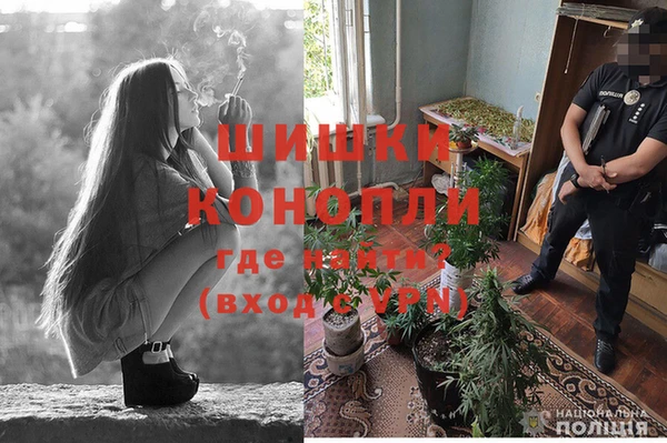 гидропоника Богородск
