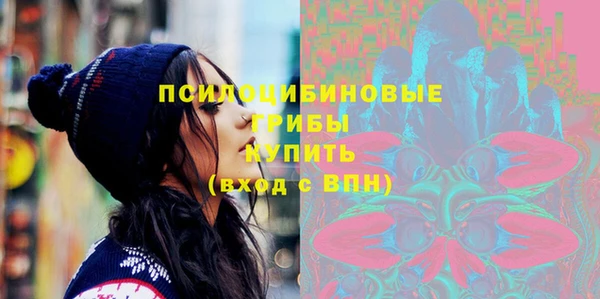apvp Богородицк